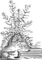 FLE032A.TIF