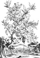 FLE029A.TIF