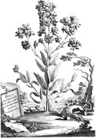 FLE027A.TIF