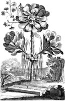 FLE025A.TIF