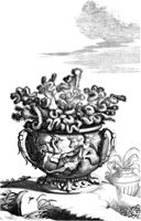 FLE024A.TIF
