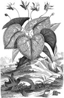 FLE023A.TIF