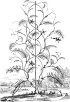 FLE019A.TIF