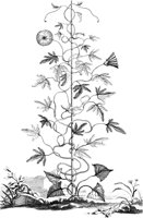 FLE018A.TIF