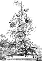 FLE017A.TIF