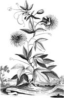 FLE016A.TIF