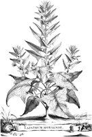 FLE012A.TIF