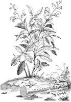 FLE004A.TIF