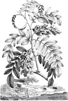 FLE003A.TIF