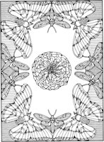 FFD041A.TIF