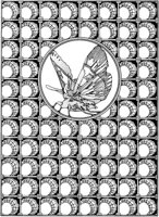 FFD029A.TIF