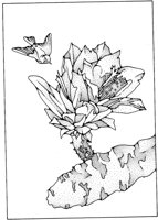 FFD021B.TIF