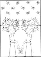 FFD015A.TIF