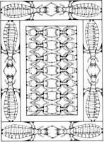 FFD005A.TIF