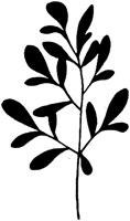 FIL032F.TIF