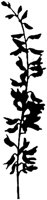 FIL032A.TIF