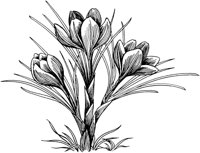 FIL031A.TIF