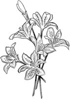 FIL029A.TIF