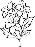 FIL024B.TIF