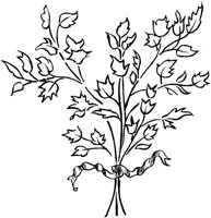 FIL024A.TIF