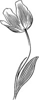 FIL023B.TIF