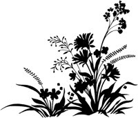 FIL023A.TIF