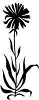 FIL021E.TIF