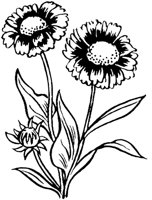 FIL021D.TIF