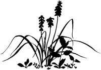 FIL021C.TIF