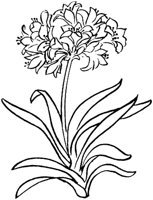FIL021B.TIF