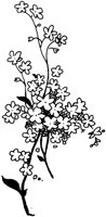 FIL021A.TIF