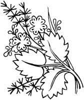 FIL020A.TIF
