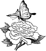 FIL019A.TIF