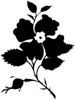 FIL016C.TIF