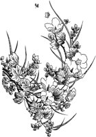 FIL015B.TIF