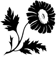 FIL013D.TIF