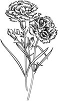 FIL011B.TIF