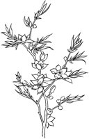 FIL011A.TIF