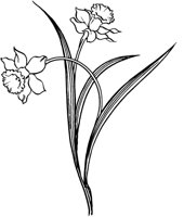 FIL010B.TIF