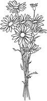 FIL010A.TIF