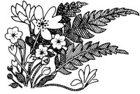 FIL009A.TIF