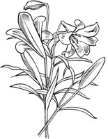 FIL007B.TIF