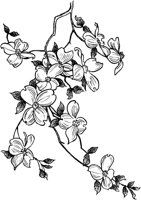 FIL006A.TIF