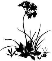 FIL005B.TIF