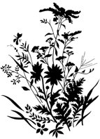 FIL004B.TIF