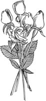 FIL003C.TIF