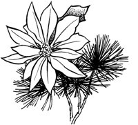 FIL003B.TIF