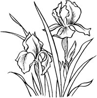 FIL002C.TIF