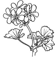 FIL002B.TIF