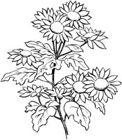 FIL002A.TIF